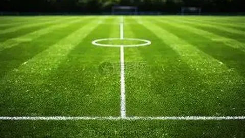 中超门神独守申花国安：特谢拉与法比奥葡萄牙外援坚守防线