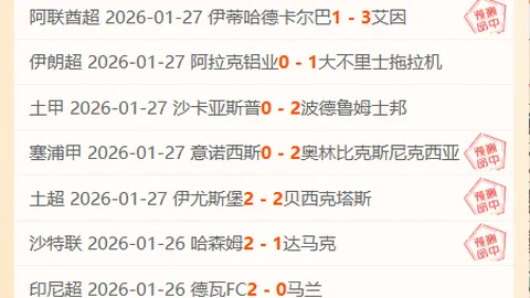 谷爱凌因伤退赛：备战时长12小时，身心极限暴露——九派新闻
