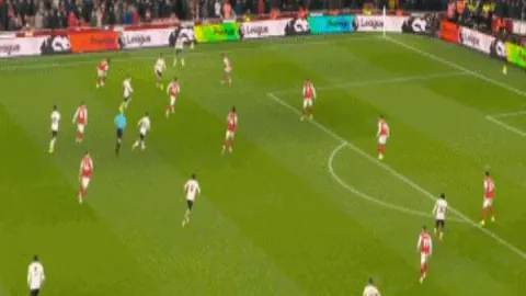 2025年：福法纳揭示歧视真相，愚昧与恶意无所遁形