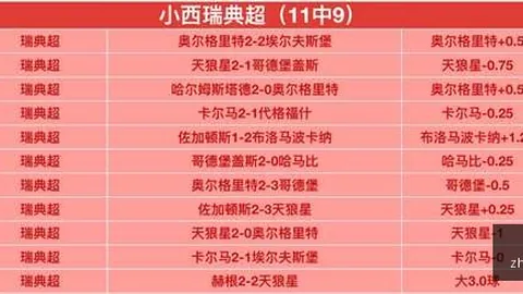 赫根主场强势，14场不败状态解析：夺冠关键
